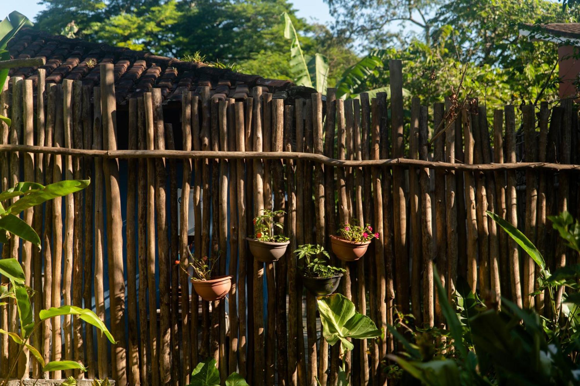 Sambaqui Hostel Ilhabela Exteriér fotografie