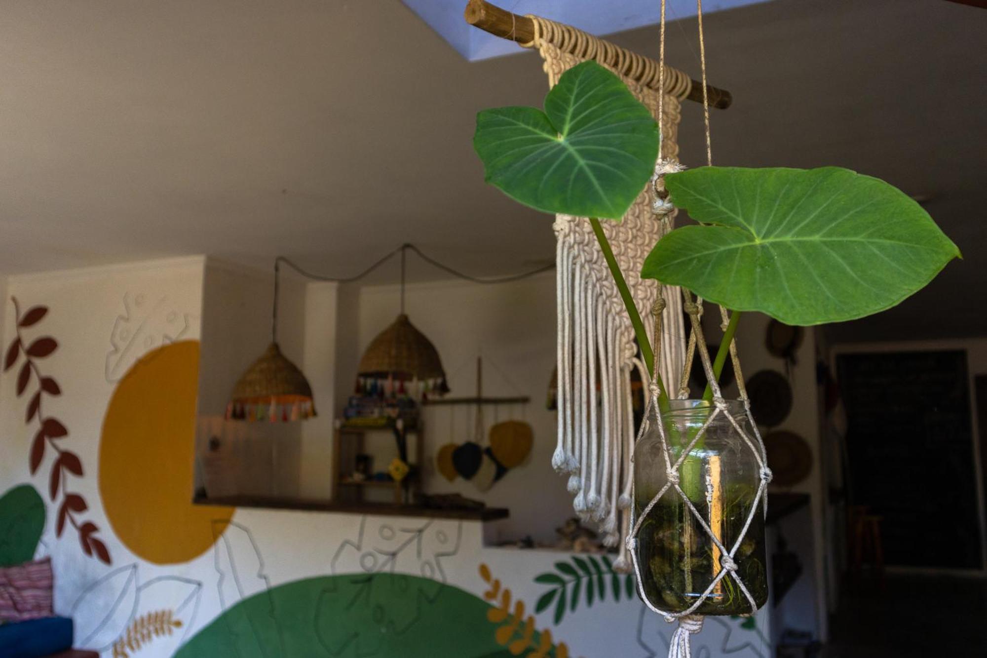 Sambaqui Hostel Ilhabela Exteriér fotografie